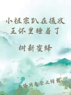 小祖宗趴在摄政王怀里睡着了