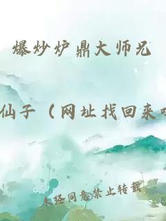 爆炒炉鼎大师兄