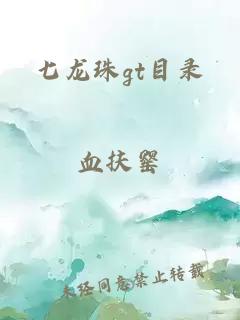 七龙珠gt目录