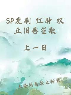 SP发刷 红肿 双丘旧巷笙歌