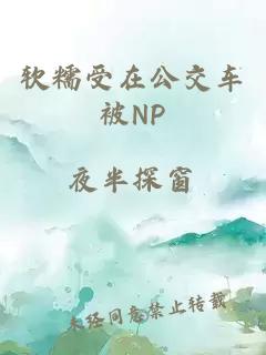 软糯受在公交车被NP