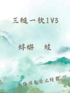 三糙一软1V3