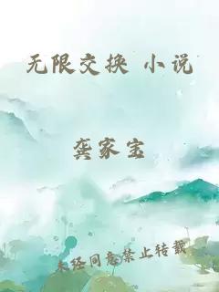 无限交换 小说