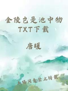 金陵岂是池中物TXT下载