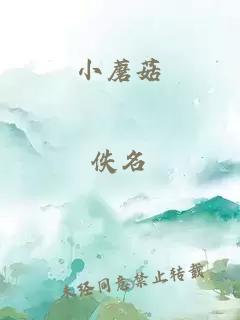 小蘑菇