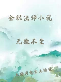 全职法师小说