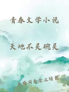 青春文学小说