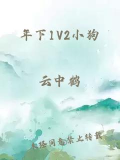 年下1V2小狗