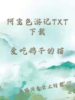 阿宝色游记TXT下载