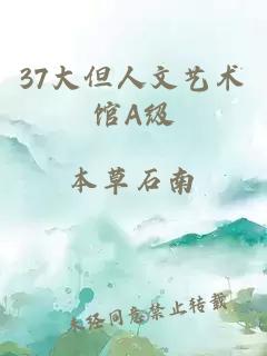 37大但人文艺术馆A级