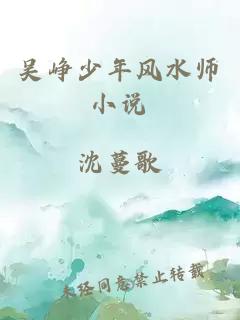 吴峥少年风水师小说