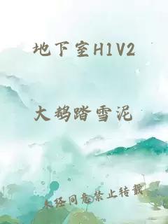 地下室H1V2