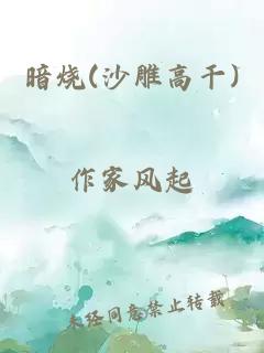 暗烧(沙雕高干)