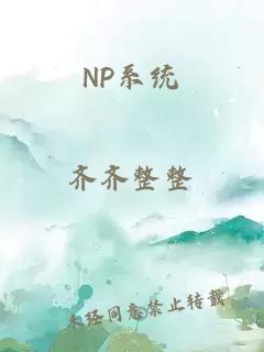 NP系统