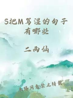 S把M骂湿的句子有哪些