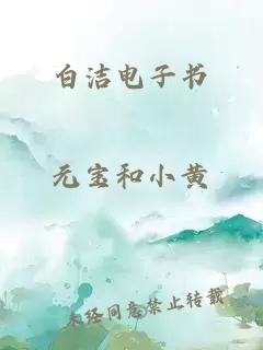 白洁电子书