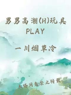 男男高潮(H)玩具PLAY