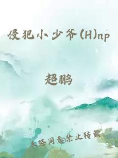 侵犯小少爷(H)np