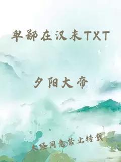 卑鄙在汉末TXT