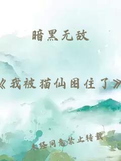 暗黑无敌