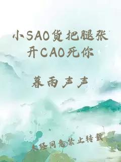 小SAO货把腿张开CAO死你