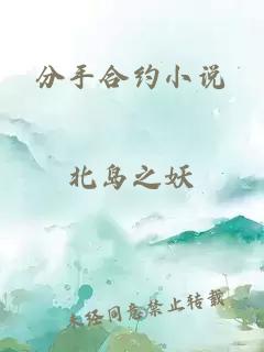 分手合约小说