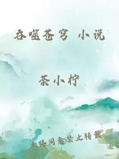 吞噬苍穹 小说