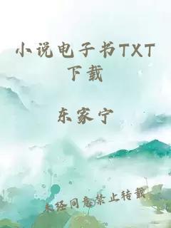 小说电子书TXT下载