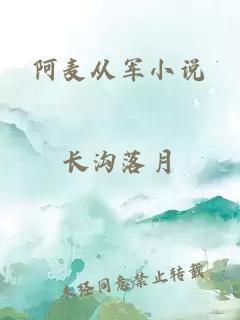 阿麦从军小说