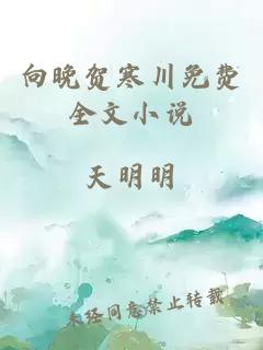 向晚贺寒川免费全文小说