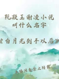 阮凝玉谢凌小说叫什么名字