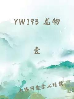 YW193 龙物