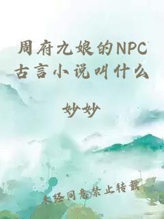 周府九娘的NPC古言小说叫什么