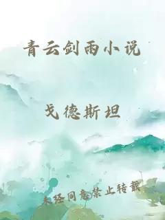 青云剑雨小说