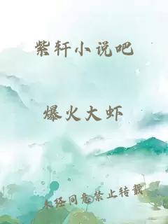 紫轩小说吧