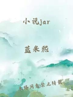 小说jar