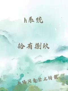 h系统