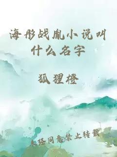 海彤战胤小说叫什么名字