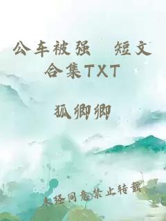 公车被强奷短文合集TXT