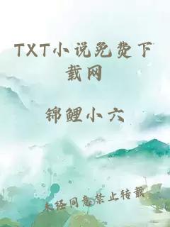 TXT小说免费下载网