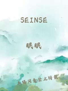 SEINSE