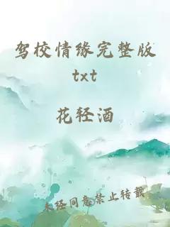 驾校情缘完整版txt