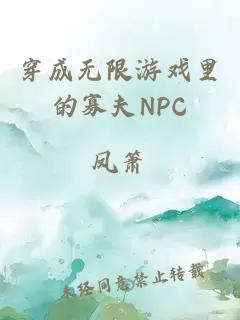 穿成无限游戏里的寡夫NPC