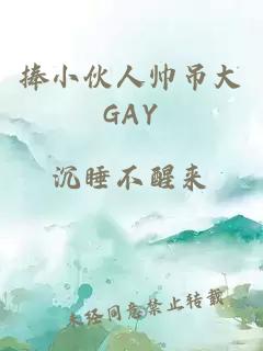 捧小伙人帅吊大GAY