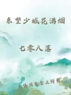 东望少城花满烟