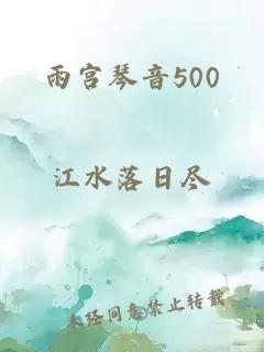 雨宫琴音500