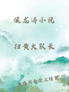 侯龙涛小说