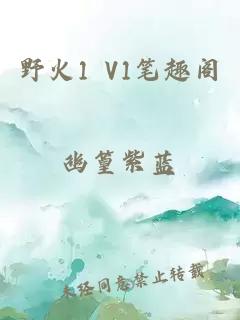 野火1 V1笔趣阁