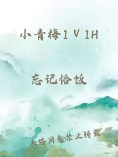 小青梅1Ⅴ1H