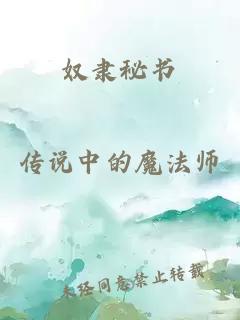 奴隶秘书